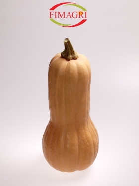 La Realtà Fimagri - Fimagri OP