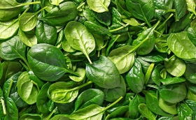 Spinach - FIMAGRI OP